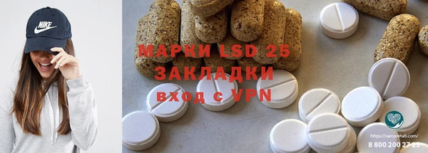 spice Ельня