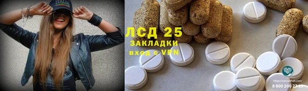 spice Ельня