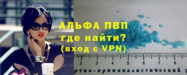 spice Ельня