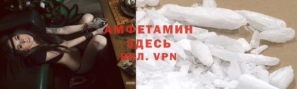 spice Ельня