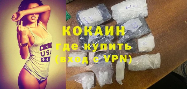 spice Ельня