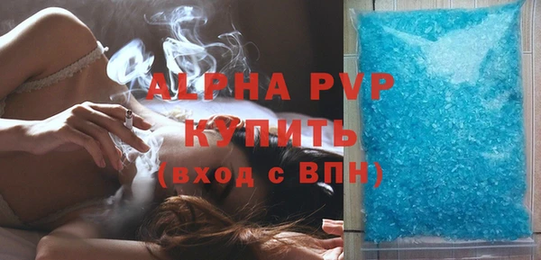 spice Ельня