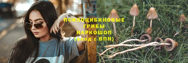 mdpv Елизово
