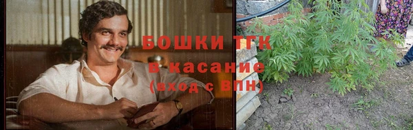 mdpv Елизово